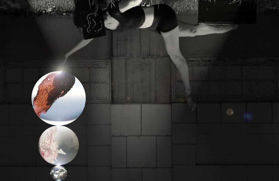 dancer with seaweed.jpg