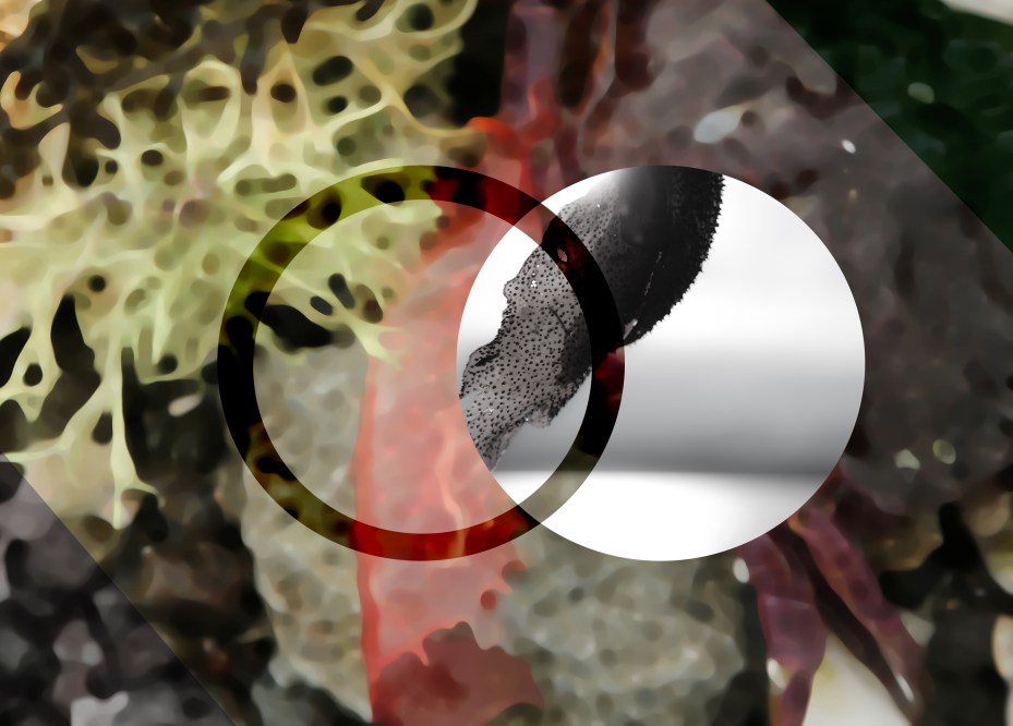 purple crab paint daubs sparkle closeup wblk and wht seaweed3.jpg